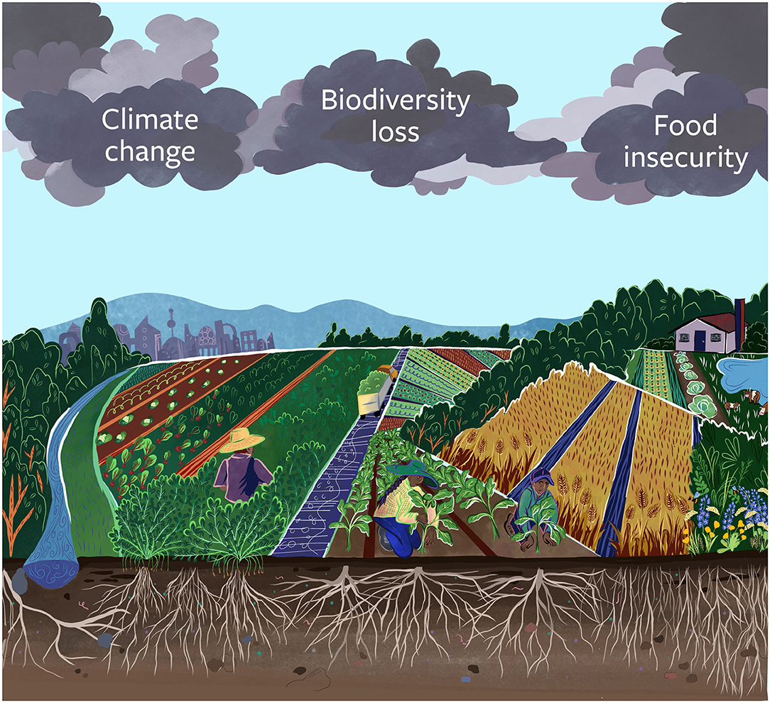 Graphic of diversified farming and triple threat from climate, biodiversity loss, and food insecurity