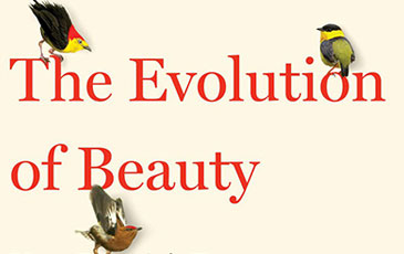 Evolution of Beauty the book by Richard Prum