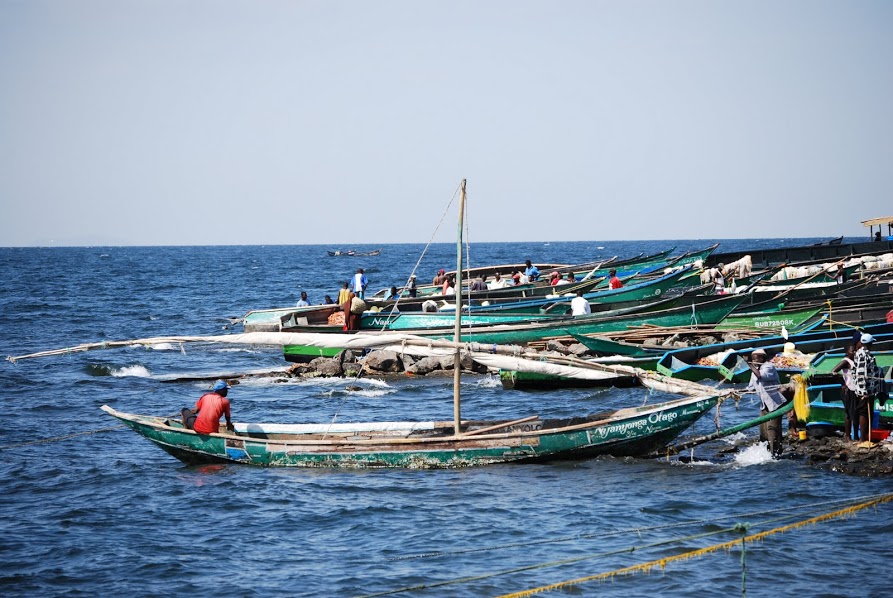 Image of fishing boats