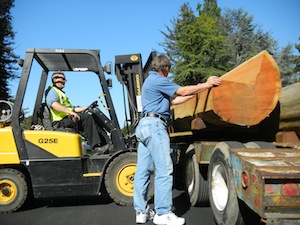 forklift_lowrez_300.jpg