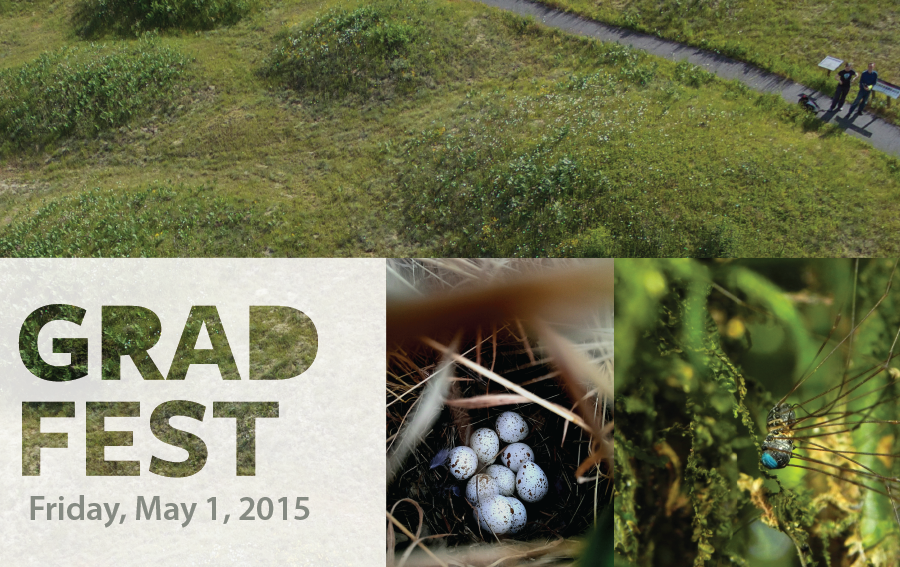 Grad Fest: Friday, May 1, 2015