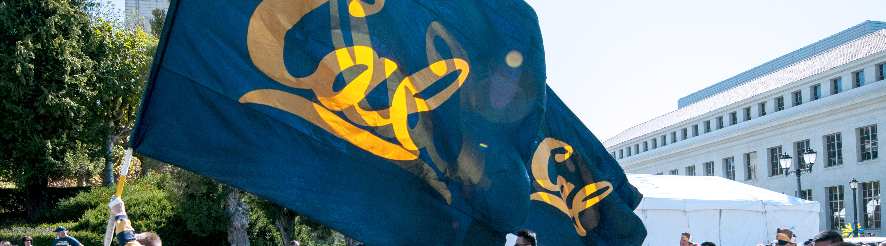Cal Flags over field