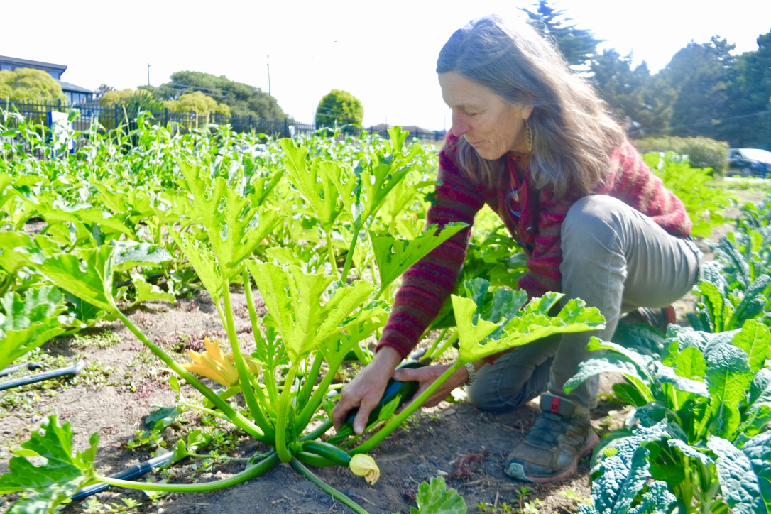 Photo of a woman in a garden. 