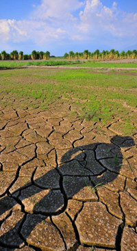 A shadow looms over a dry field.