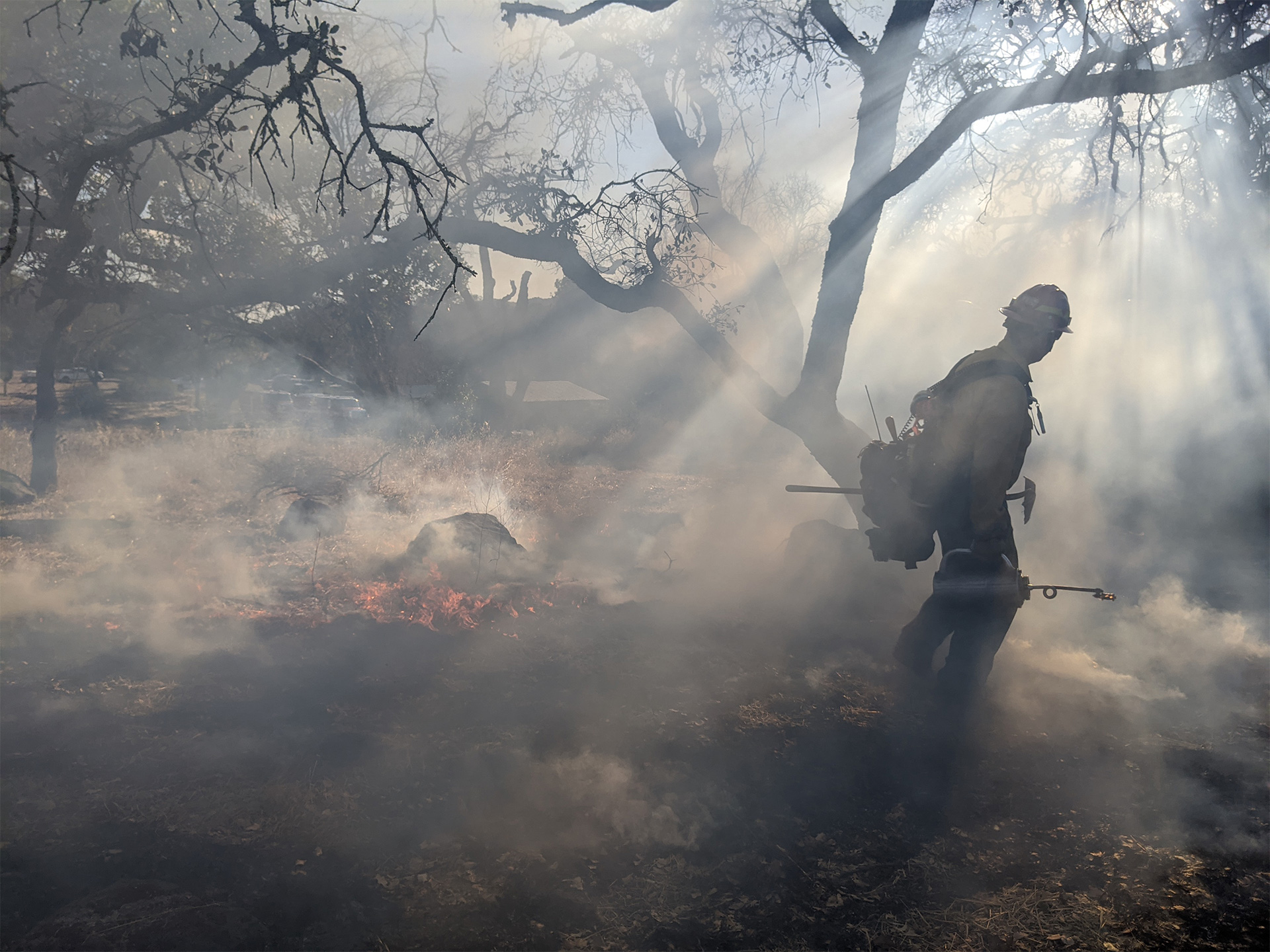 The outline of a firefighter walking in a smoky forest.