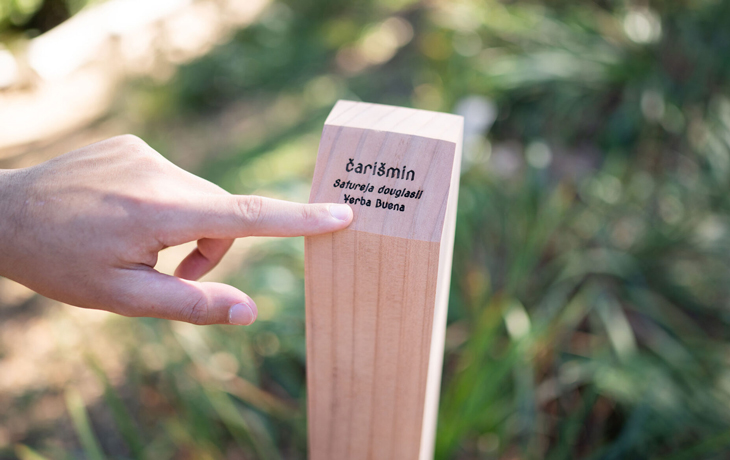 Finger pointing to planter sign that reads "Yerba Buena" 