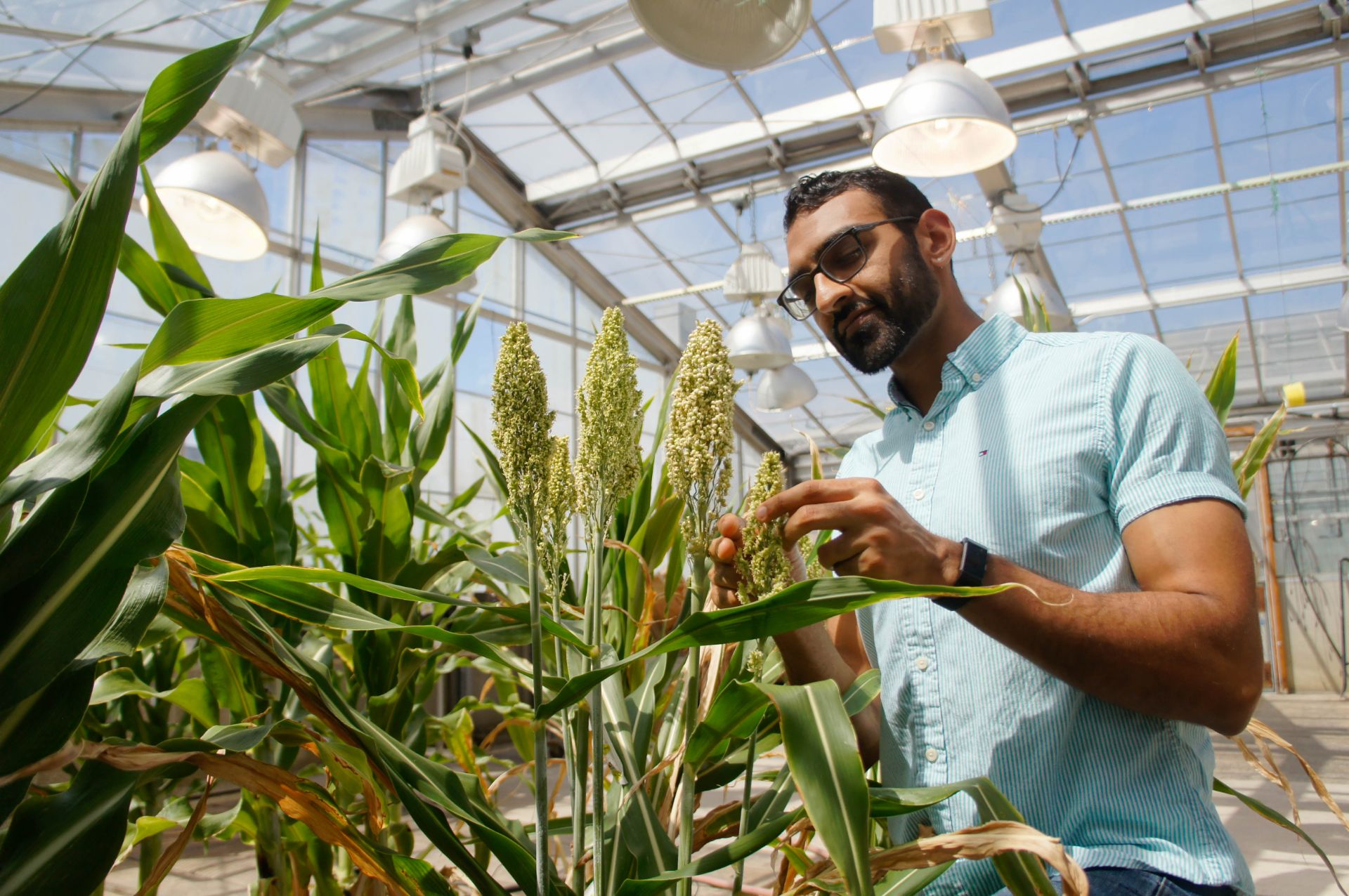 Dhruv Patel in a greenhouse. There are four lights behind him, and he is touching a plant in the foreground.