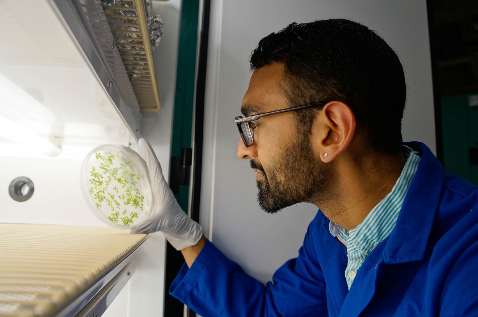 Dhruv Patel's side profile. He is wearing a lab coat and an earring. He is holding a petri dish which shows small green splotches. The dish appears to be taken out from a bright shelf.