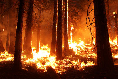 The 2013 Rim Fire in California