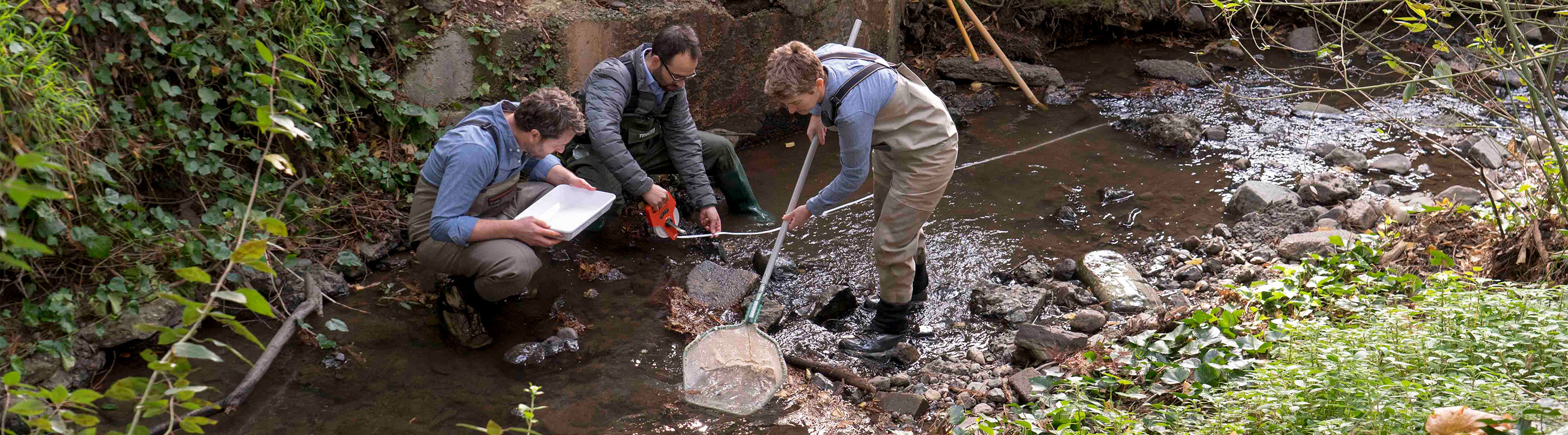 three researchers taking samples in a creek