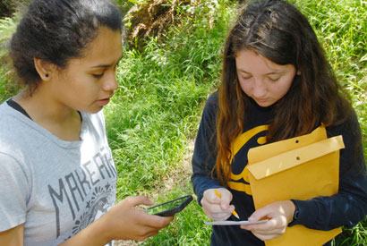 two volunteers collect samples