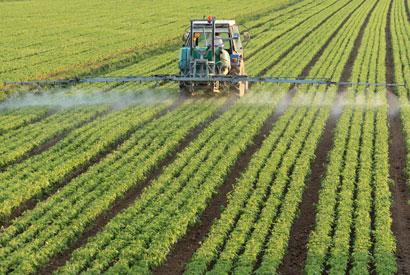 Farm machine on rows of crops