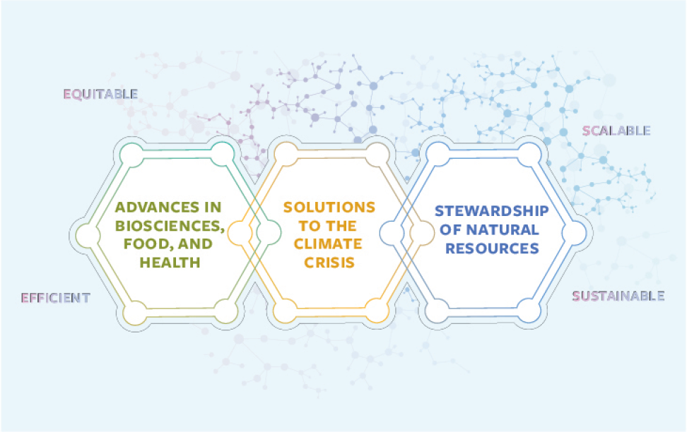 A graphic outlining Rausser College's strategic vision framework. There are three hexagon that read "Advances in biosciences, food, and health", "Solutions to the climate crisis", and "Stewardship of natural resources".