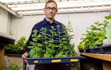 Image of researcher holding research plants