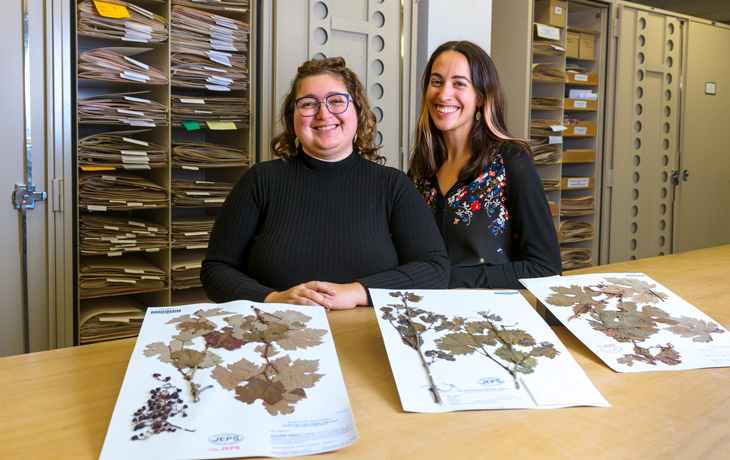 Three dried grapevine specimens, mounted on paper, are spread across a table. Behind the table stand two individuals who are smiling at the camera. Storage cabinets that are filled with file folders can be seen in the background.