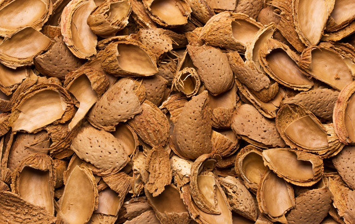 Image of almond nut shells