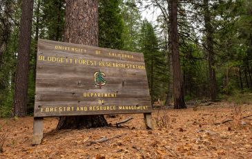 A sign at the entrance of Blodgett Forest Research Station.