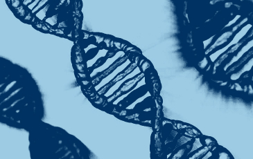 Illustration of a DNA strand 