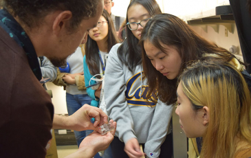 PhD candidate Ignacio Escalante shows the students tiny spiders during a lab tour