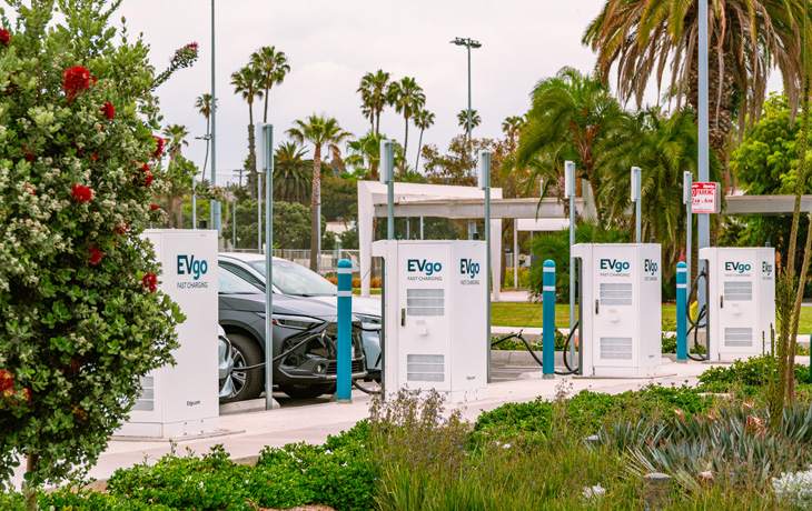 Electric vehicle charging stations in a parking lot with palm trees in the background.