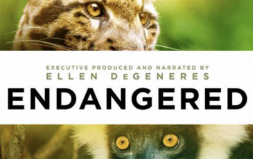 Cover image of documentary Endangered, showing endangered leopard and primate faces