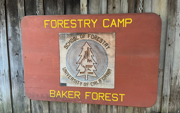 Wood sign that says forestry camp and baker forest with a tree in the center of sign