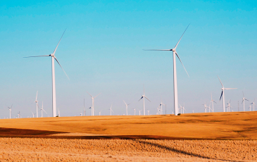 A photo of windmills in dry field on a summer day.