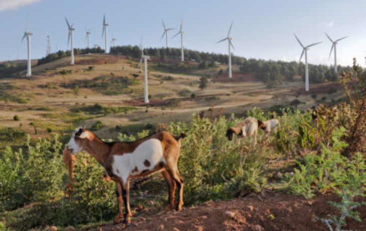The Ngong Hills wind farm outside Nairobi, Kenya, is an example of land used for multiple purposes: recreation, energy generation and livestock grazing. (Grace Wu photo)