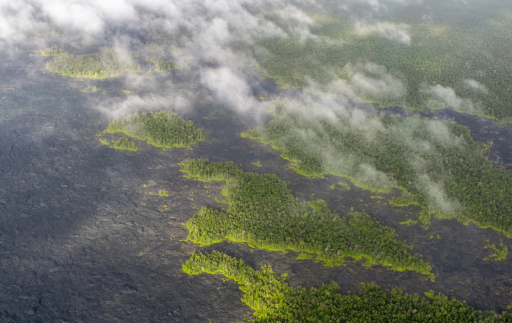 An aerial photo of green forests surrounded by hardened lava