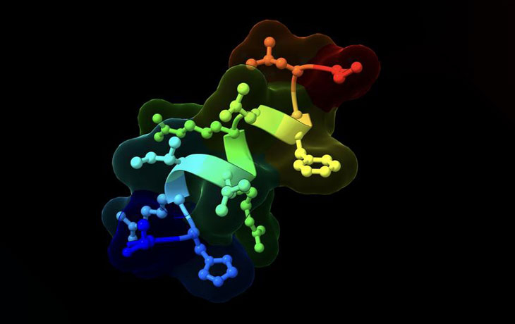 A 12-amino-acid BRP peptide 