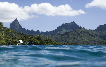 Photograph taken in the ocean with view of Moorea island mountains