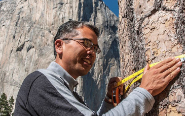 Patrick Gonzalez measuring a tree in a national park.
