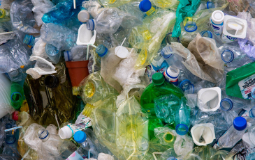 A closeup of plastic bottles in a landfill
