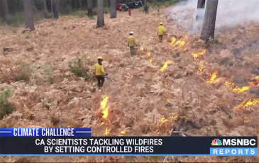 Screen image of MSNBC segment, showing three researchers setting fire