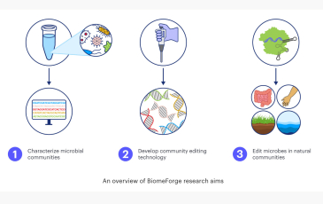 Diagram of "An overview of BiomeForge research aims"–1. characterize microbial communities. 2. develop community editing technology. 3. edit microbes in natural communities