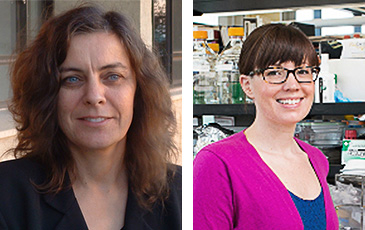 Professors Seed and Banfield each recieved amazing grants for science research