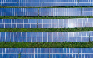 An aerial view solar panels against a background of green grass.