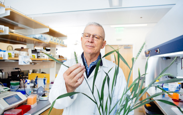 A photo of a man in a lab coat wearing glasses holding a plant leaf