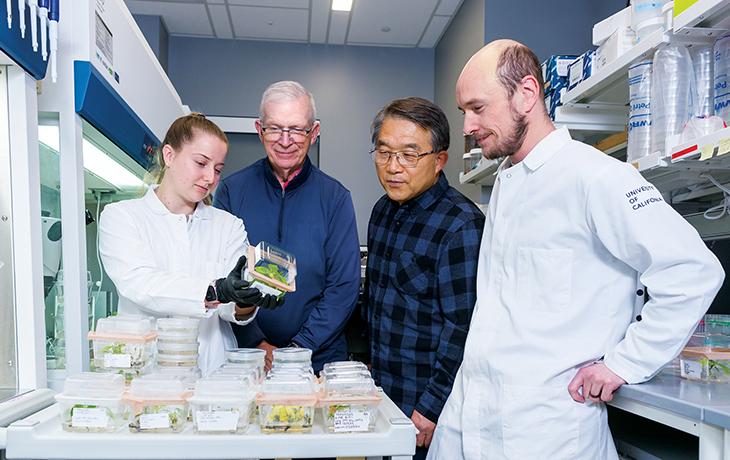 Researcher Abigail Stevens, Brian Staskawicz, Myeong-Je Cho, and researcher Maxwell Vetterli examine a cacao plant in growth medium at the Plant Genomics and Transformation Facility.