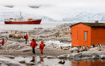 Researchers with penguins in Antarctica, with a boat in the background.