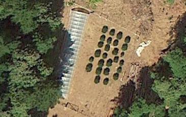 Cannabis grow site image from Google Earth. 