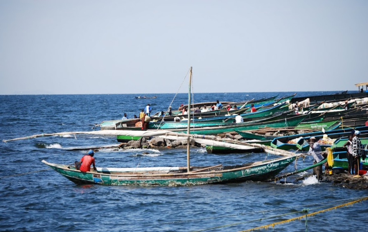 Image of fishing boats