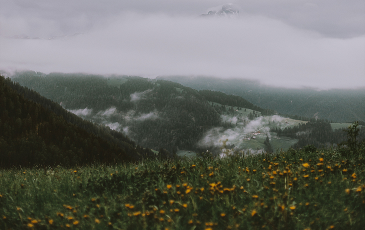 Meadow on mountain.