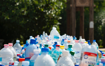 Many plastic water bottles empty in a bin.