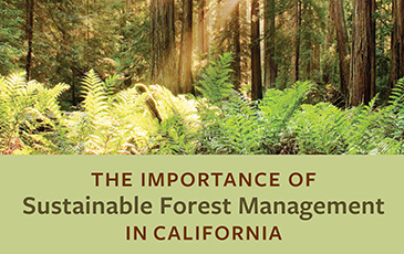The Importance of Sustainable Forest Management in California