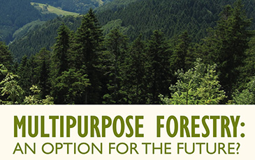 Multipurpose forestry - S. J. Hall lecture
