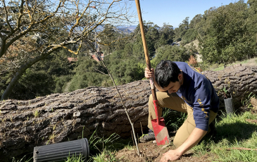 A man digs in soil with trees in the background