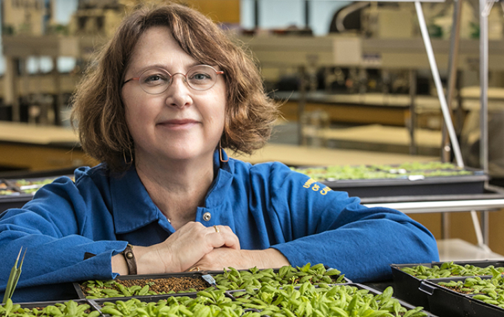 Portrait of Mary Wildermuth in her lab with plants