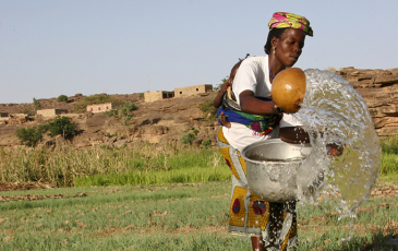 Dogon Woman in Mali waters her onion garden