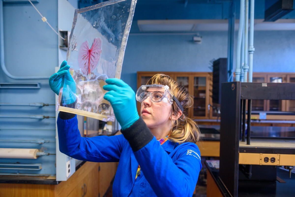 A lab assistant wears a lab coat, goggles, and blue gloves as they hold up a leaf specimen laid out on a large tray